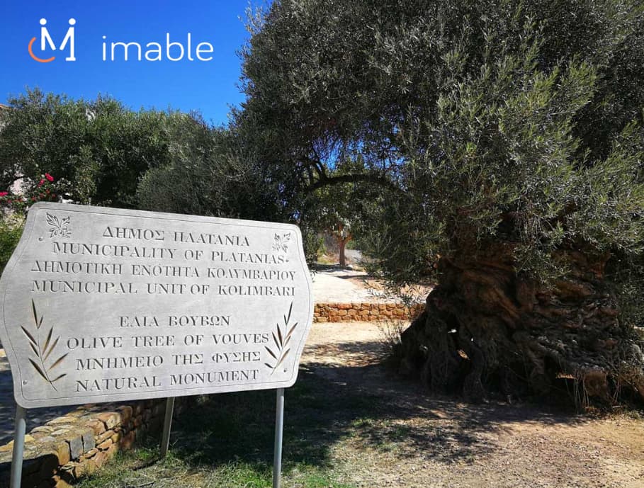 IMable Travel - Image 2