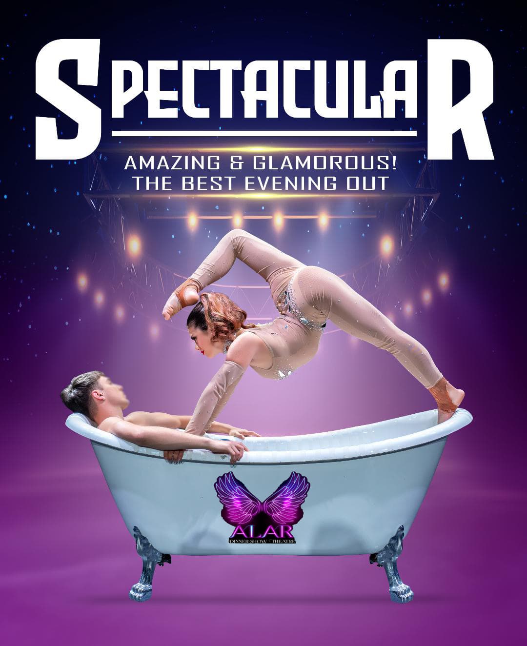 Allar Dinner Show - Image 3