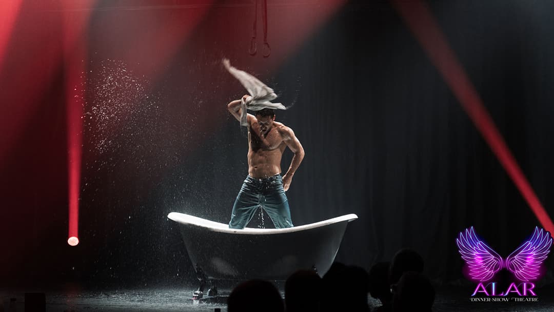 Allar Dinner Show - Image 7