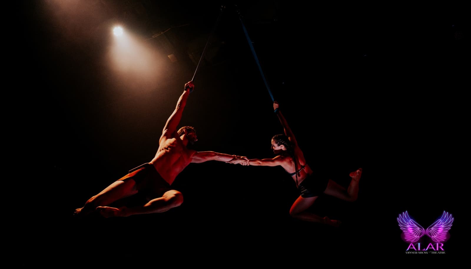 Allar Dinner Show - Image 12