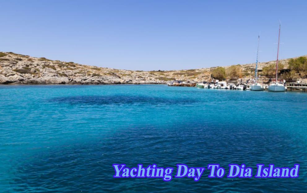 Malia Cruises - Image 5