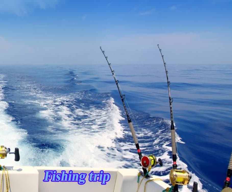 Malia Cruises - Image 7