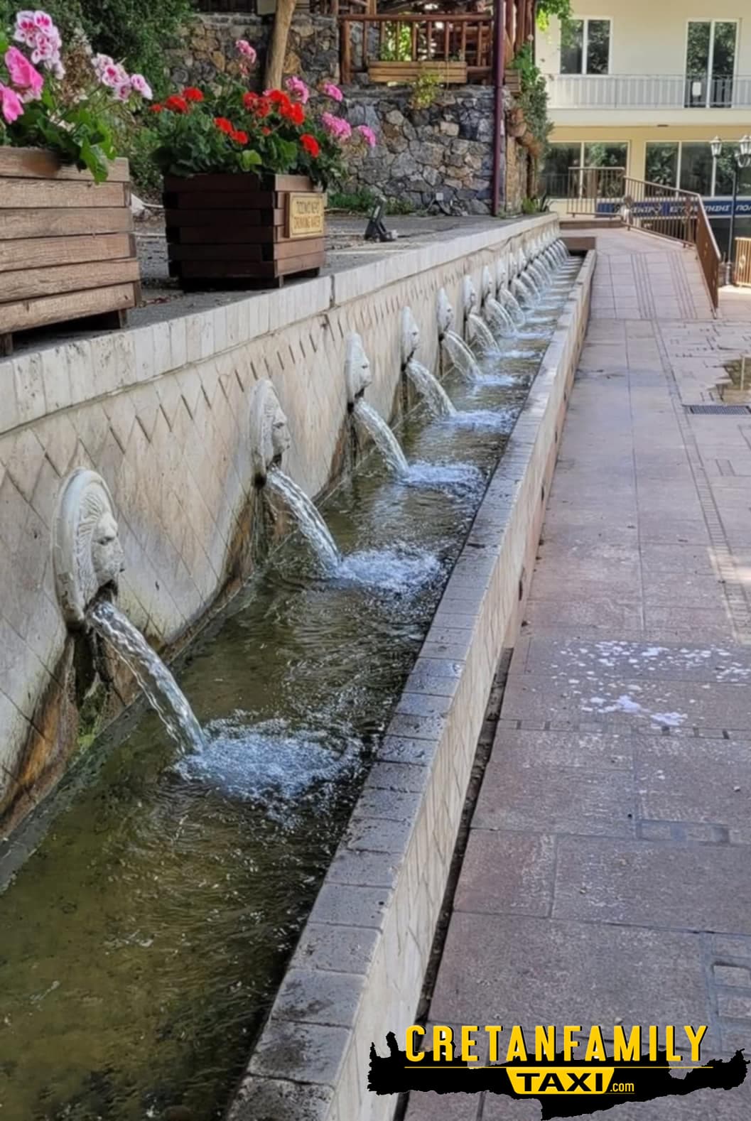 Cretan Family Taxi - Image 10