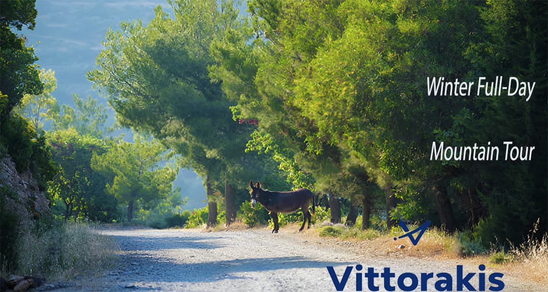 Vittorakis Travel - Image 8