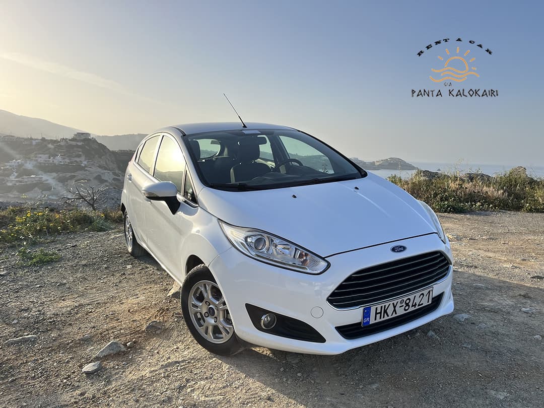 Gia Panta Kalokairi Rent a Car - Image 11