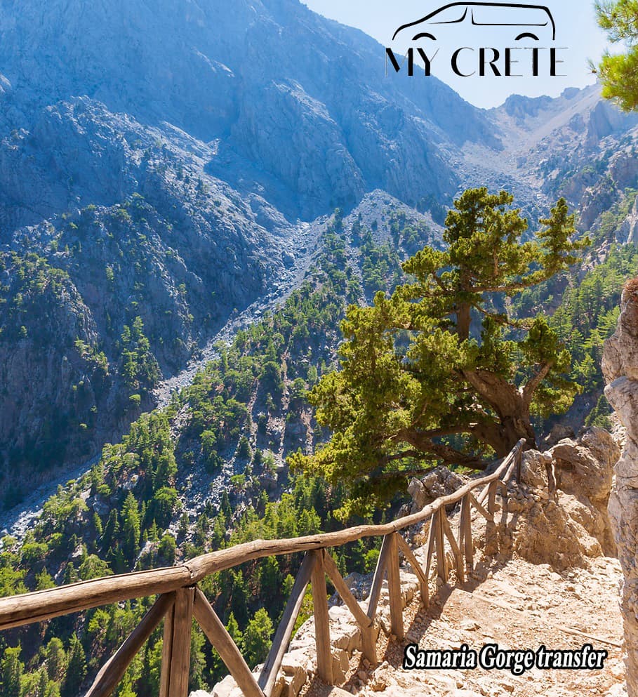 My Crete Transfer - Image 5